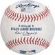 Game Used Kyle Higashioka Yankees Baseball Fanatics Authentic Coa Item#12874274