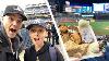 Jeu De Baseball Utilisé Et Une Tonne De Nourriture Gratuite Au Yankee Stadium